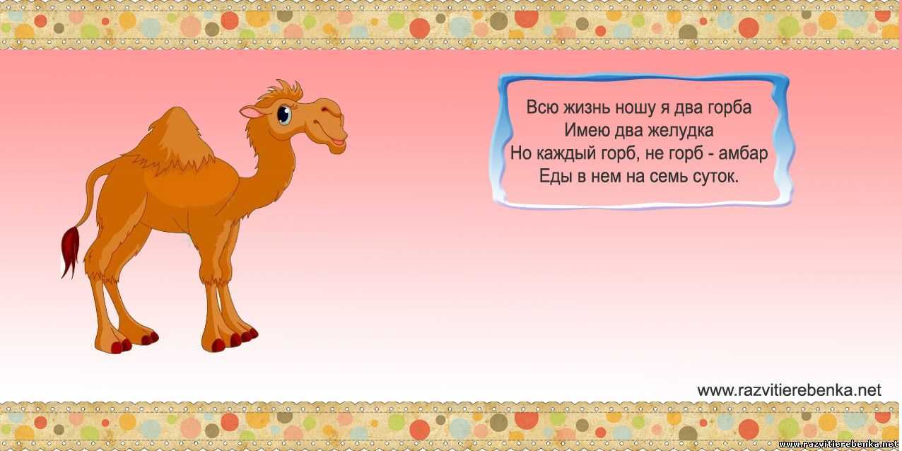 Загадки для детей (c ответами): 2000 самых интересных детских загадок ~ я happy мама