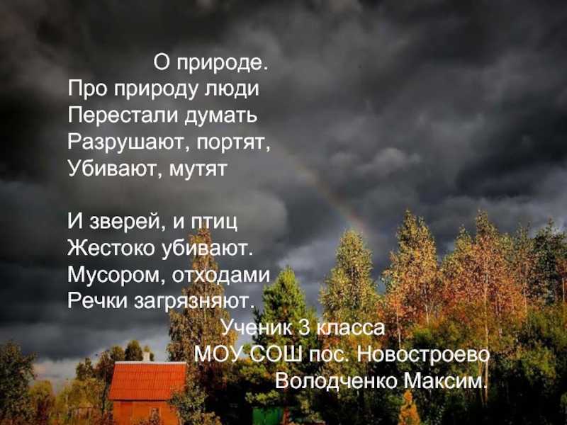 Стихи про деревья осенью | morestihov.ru