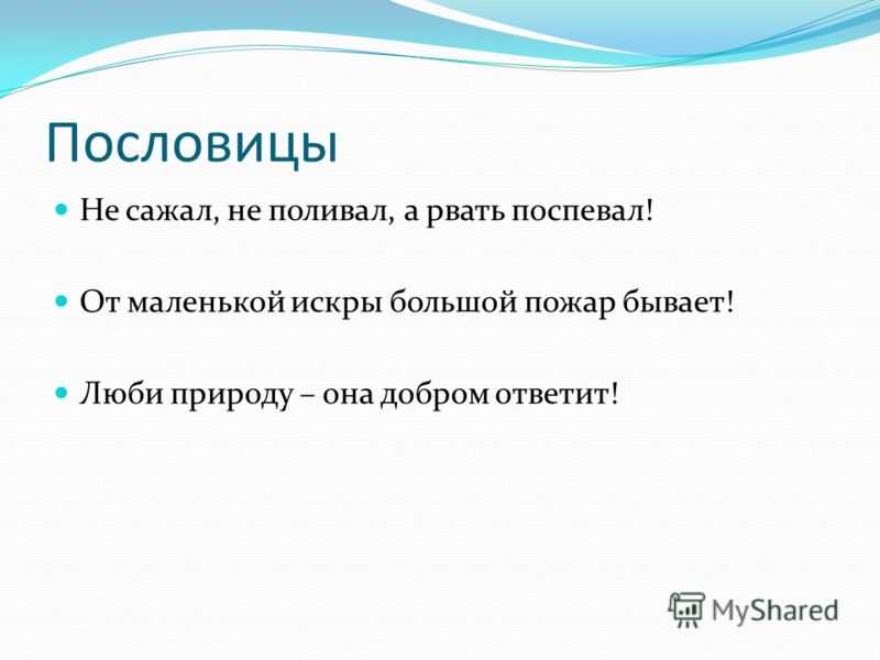 Пословицы загадки поговорки о природе. пословицы о бережном отношении к природе и любви к ней