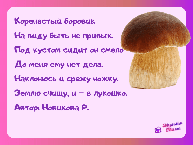 Детям о грибах. грибы в сказках,  рассказах, картинках, видео и заданиях для детей
