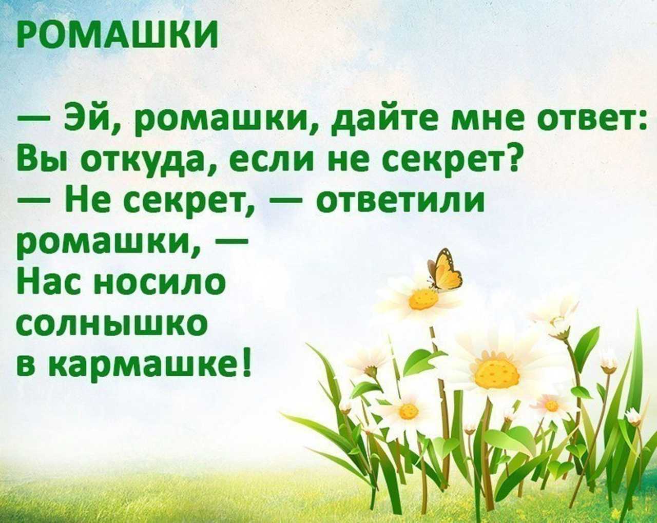 Стихи про цветы русских поэтов классиков: красивые стихотворения для детей, взрослых - рустих