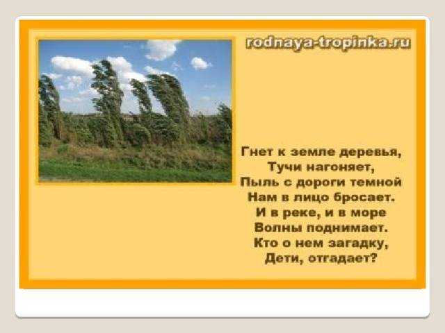А вот и снова осень закружила…