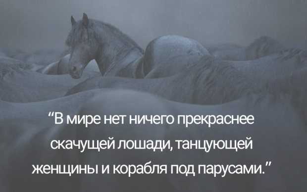 Статусы со смыслом про лошадей