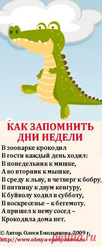 Загадки про опасного крокодила