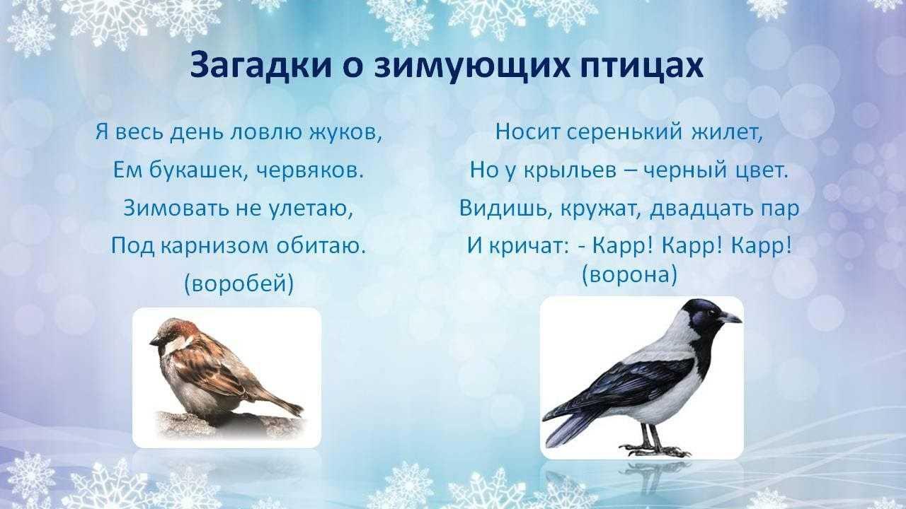 Загадки про весну для 2 класса (короткие, сложные, с ответами)
