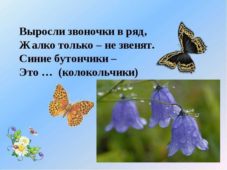 Загадки про овощи