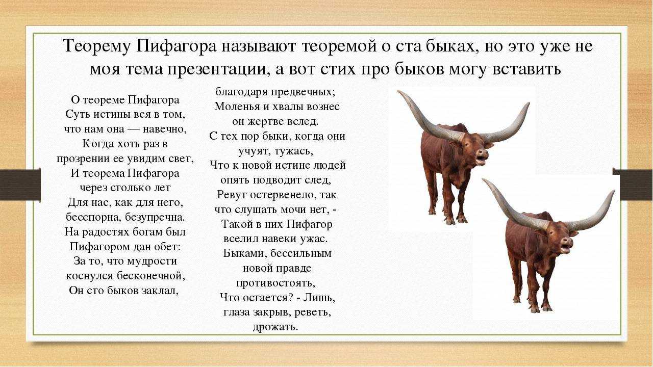 Новогодние костюмы своими руками: идеи 2020, фото, для мальчиков, девочек, для женщин, для мужчин