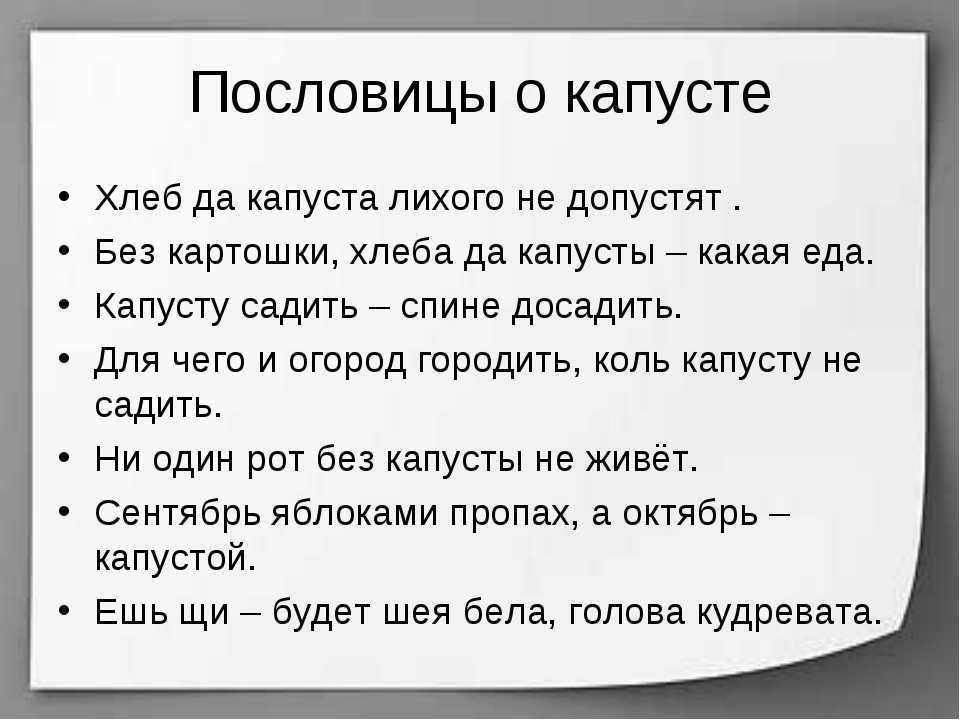 Пословицы — народные мудрости