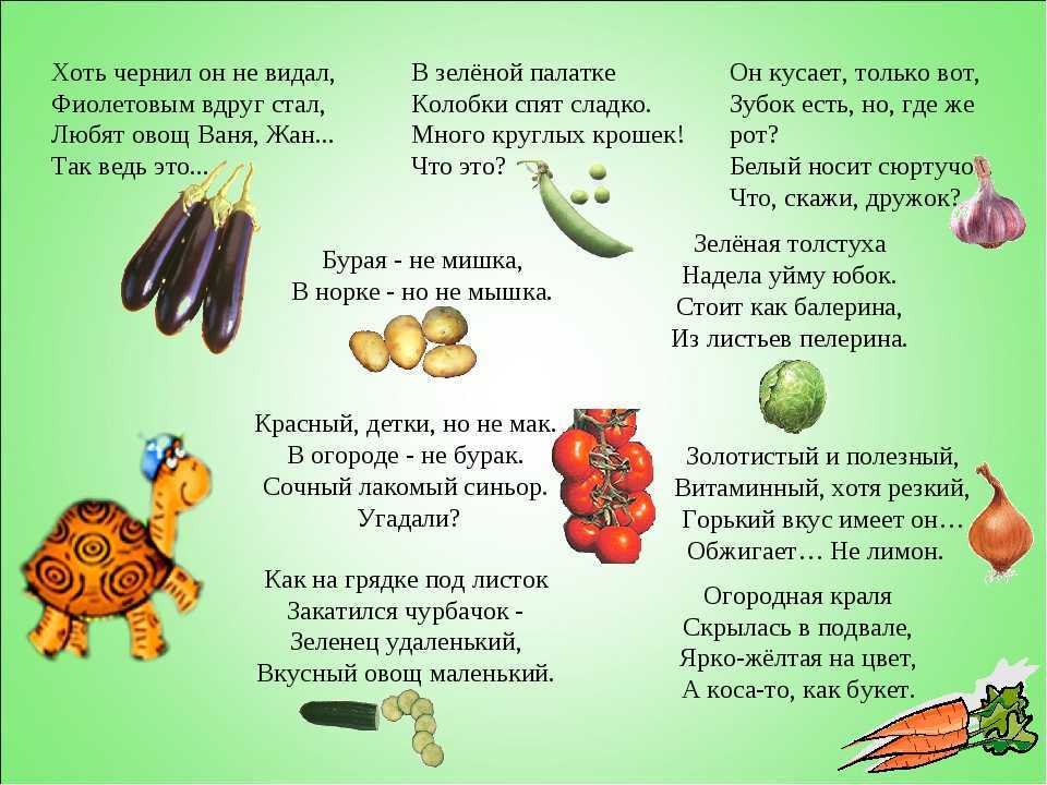 Старинные детские загадки. советские загадки для детей: примеры