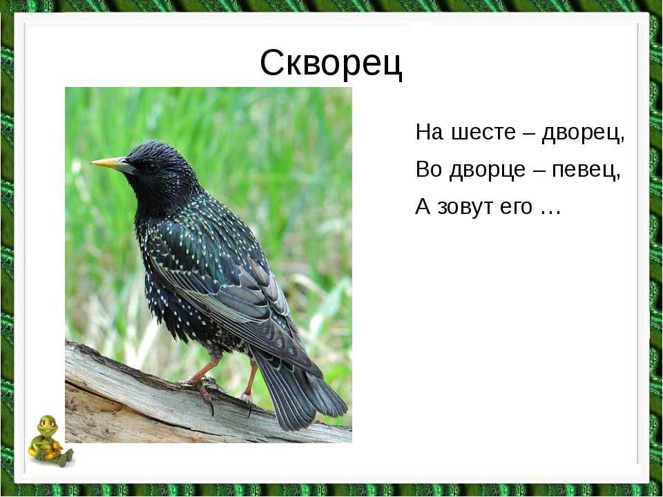 Загадки детям - с ответами