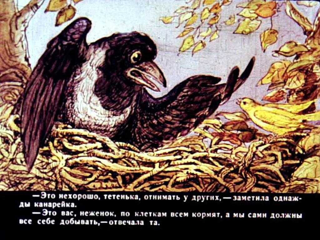Диафильм Сказочка про воронушку-черную головушку и про желтую птичку канарейку смотреть онлайн или скачать бесплатно без регистрации в сказочной библиотеке
