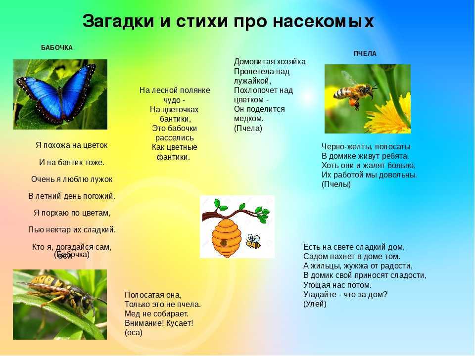 Стихи для новорожденных и самых маленьких