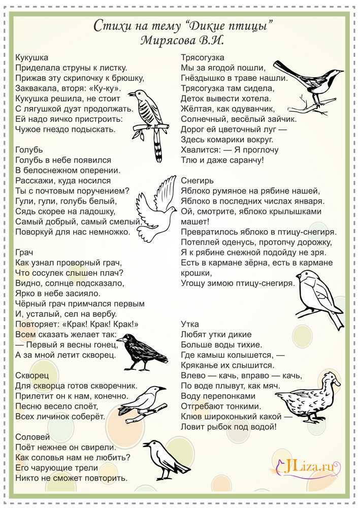 Стихи про птиц - корокткие и красивые стихотворения про птиц для школьников 6-7 лет - na5.club