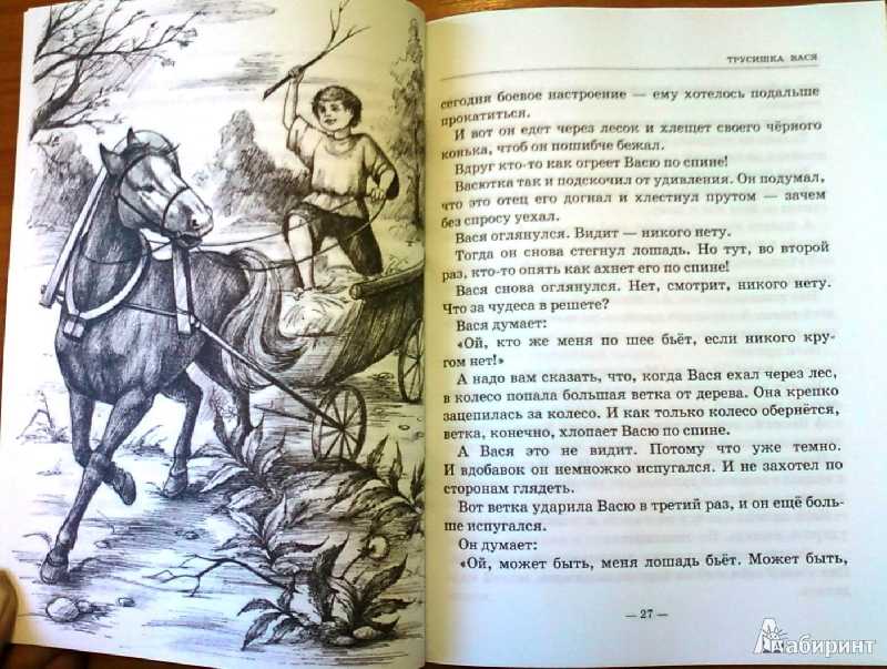 Трусишка вася - рассказ • доброе лукошко