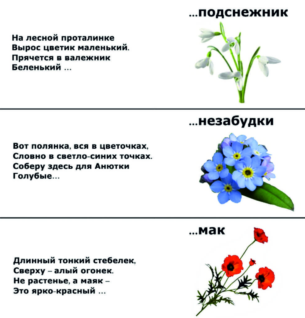 Лучшие загадки для детей 5-6 лет с ответами (можно распечатать!)