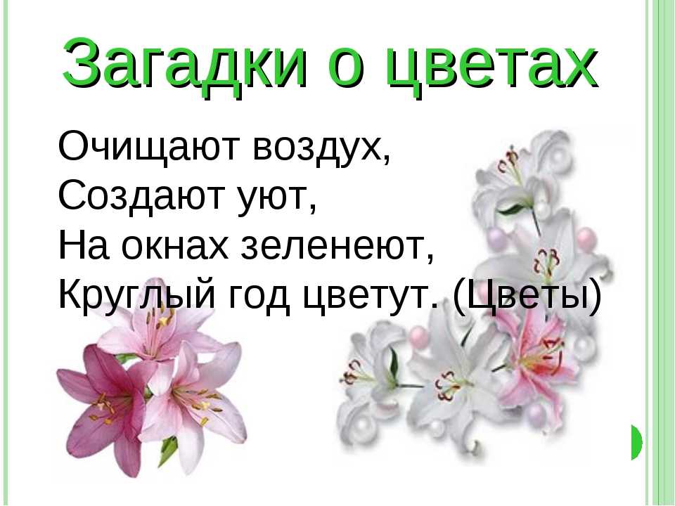 Загадки для детей (c ответами): 2000 самых интересных детских загадок ~ я happy мама