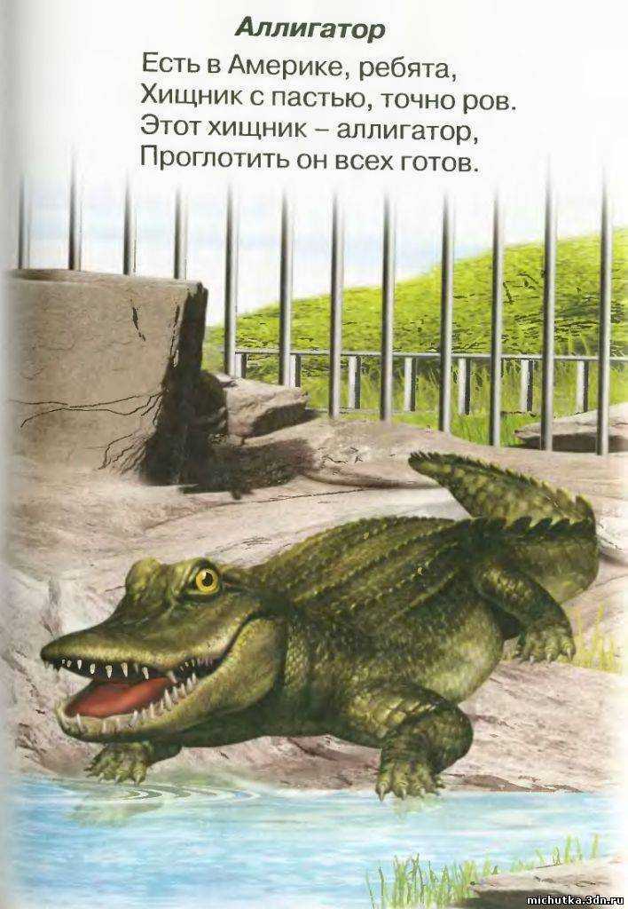 Смешные загадки обманки для детей с подвохом