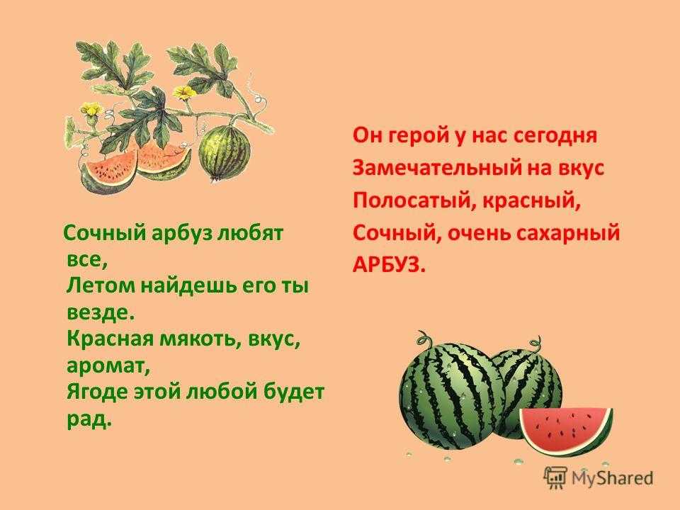 Стихи о фруктах