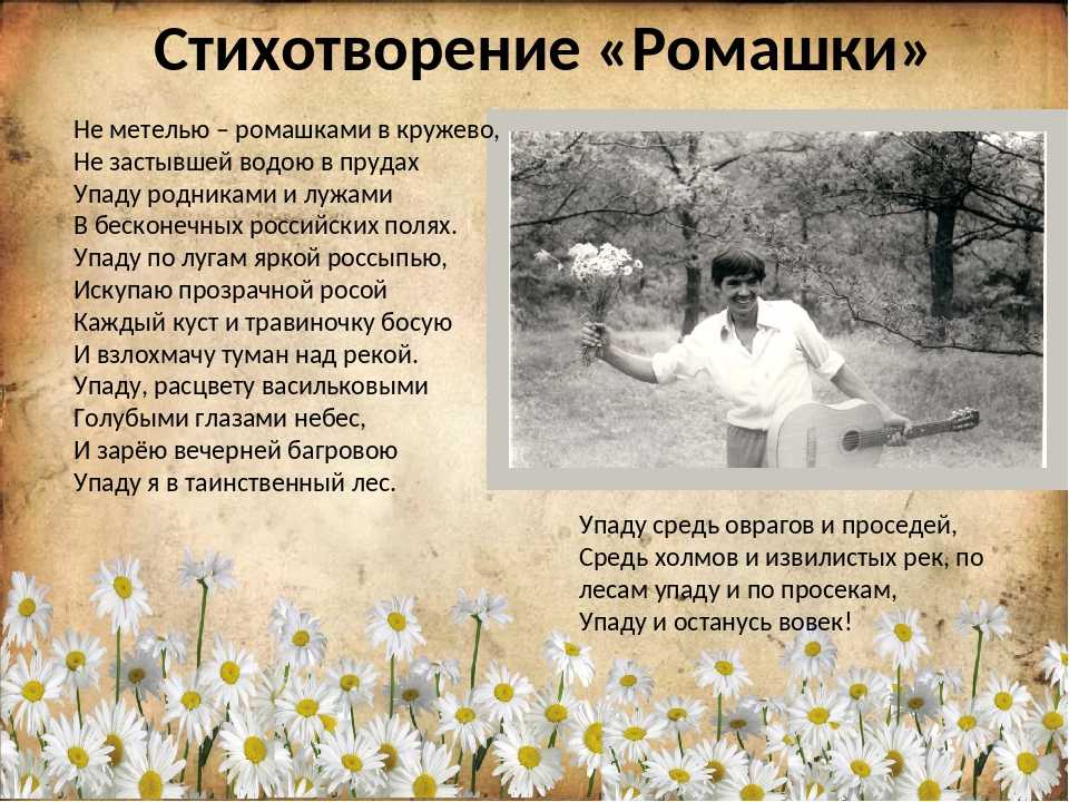 Сергей михалков - ромашка и роза: читать стих, текст стихотворения полностью - классика на рустих