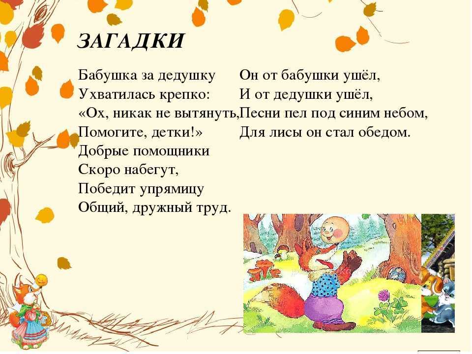 Загадки о медведе с ответами – 50 самых лучших загадок – ladyvi.ru