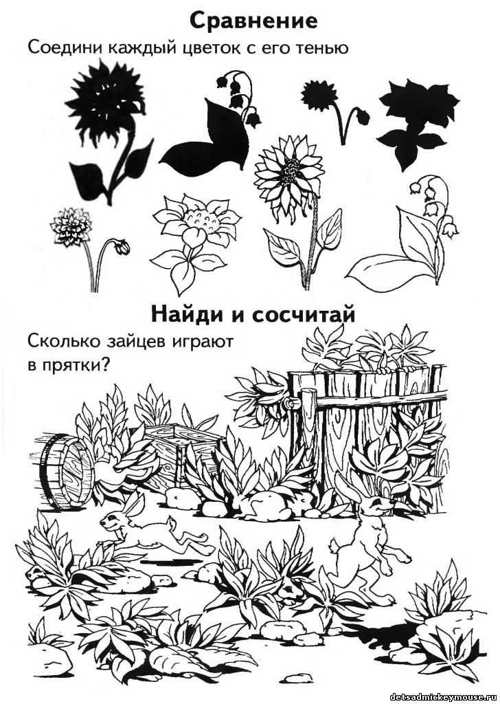 Все ребусы