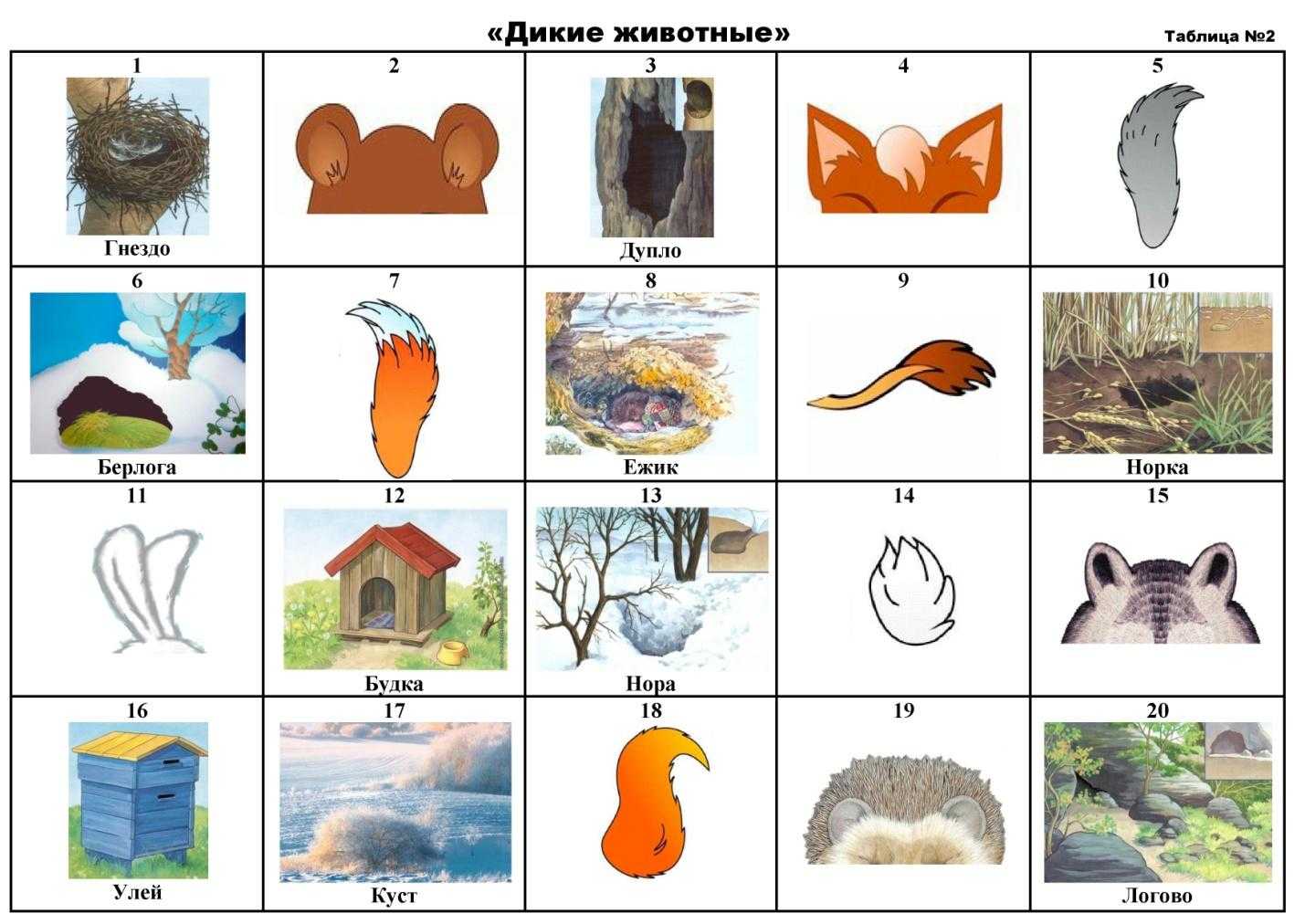 Раскраски животные для детей – скачать бесплатно – практические задания – развитие ребенка