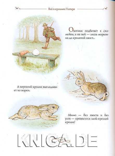 Мертвый кролик, живой кролик