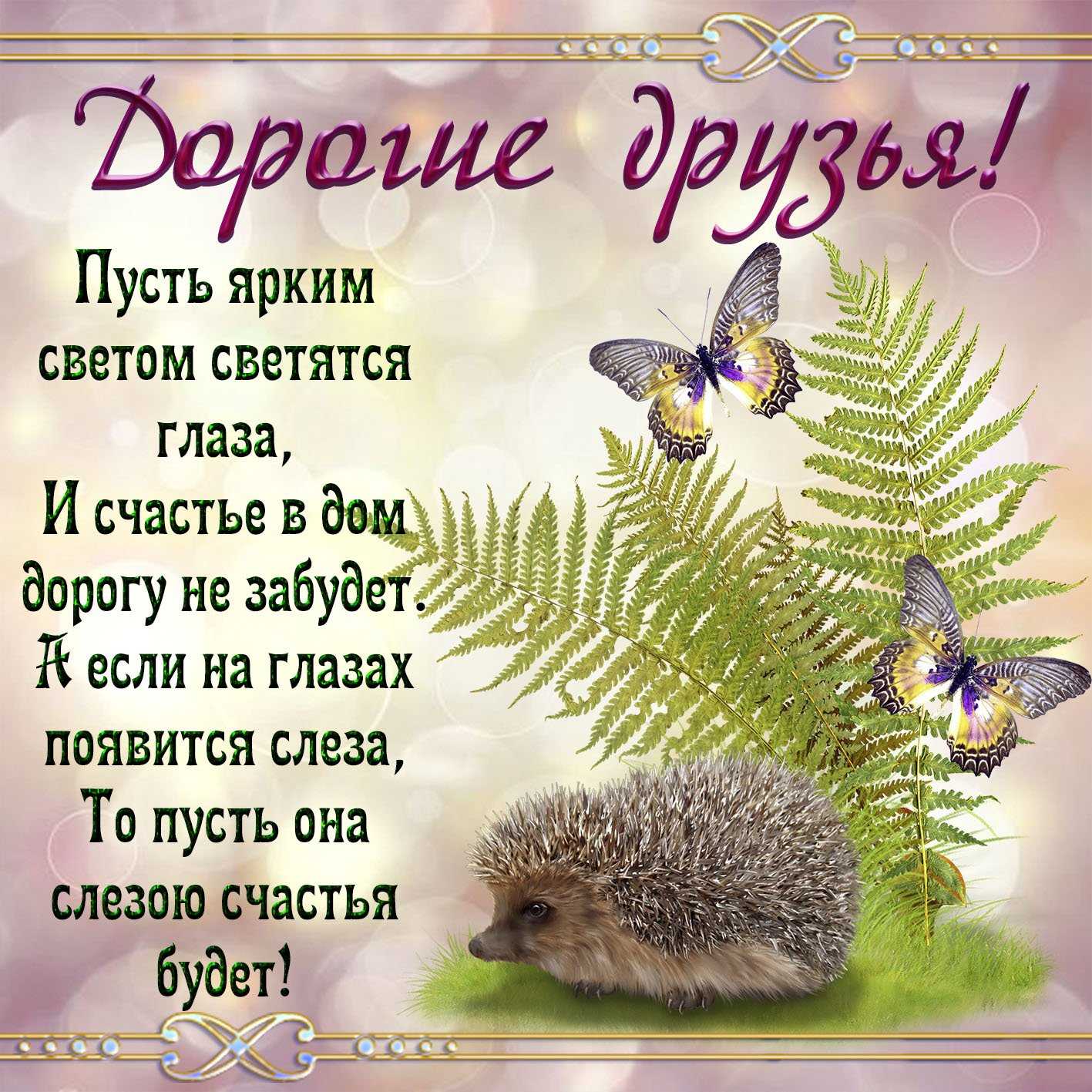 Стихи про ежика: стихи про ежика — милые и смешные для детей —  