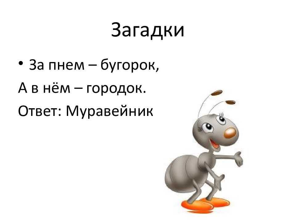 55 загадок для самых маленьких детей с ответами