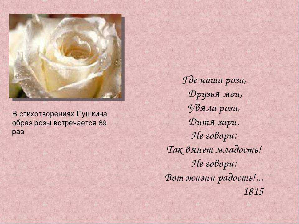 Стихи о розах