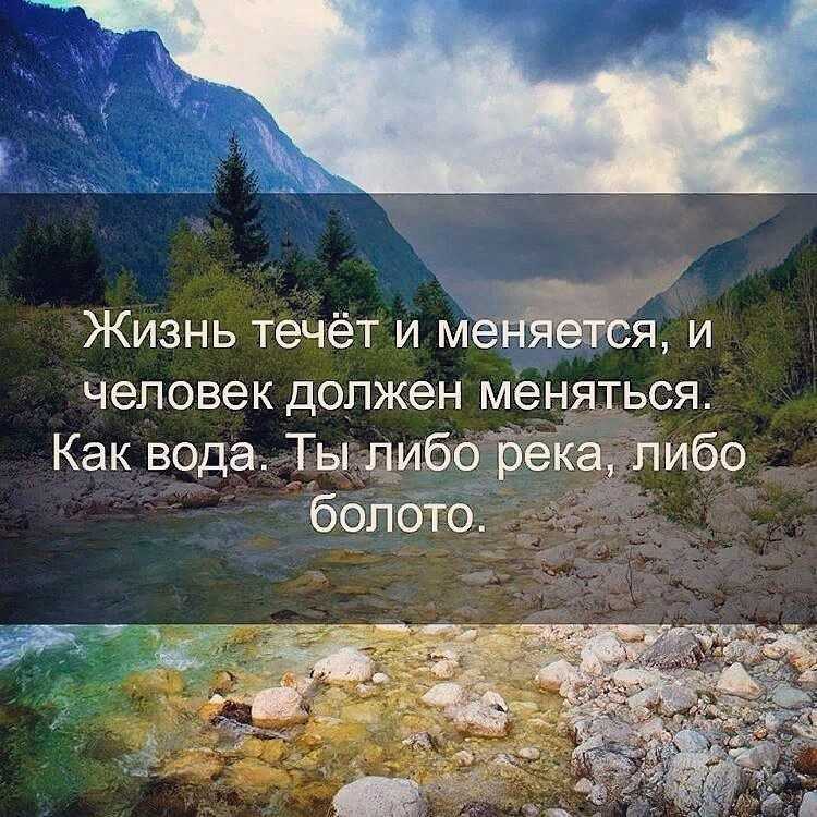 «я люблю тебя жизнь, ну а ты меня снова и снова…» поговорки в современном исполнении