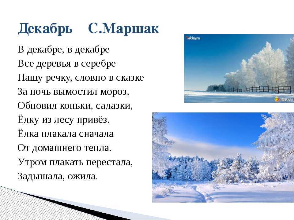 Зима, твоя пора настала…