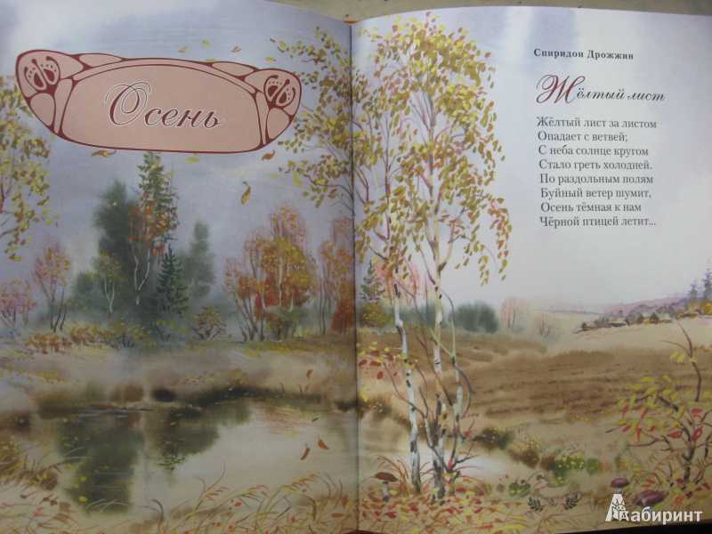 Четверостишья стихи про природу