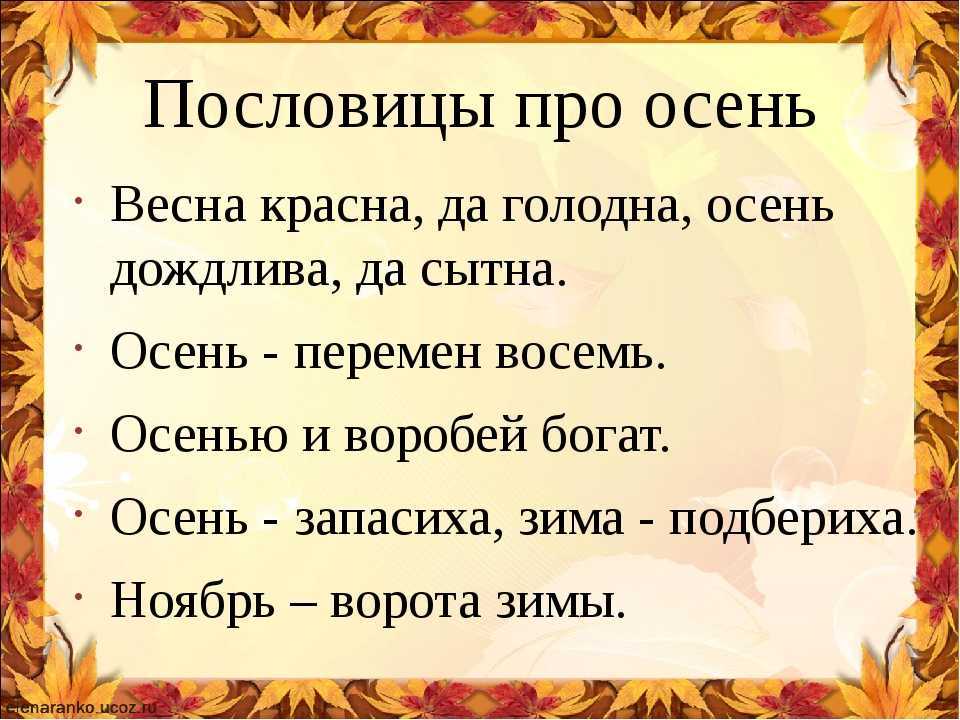 Народные приметы на осень. осенние пословицы и поговорки