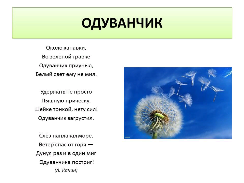 Одуванчиковое настроение