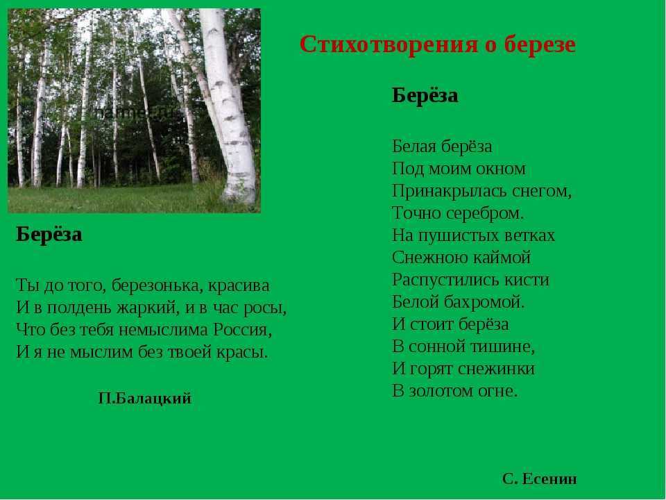 Стихи пушкина для детей 3-4 класса читать