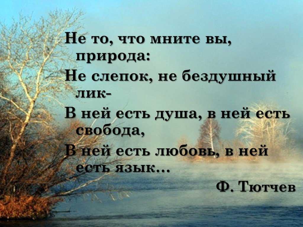 Стихи для 2 класса. литературное чтение