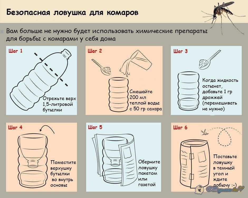 Насекомые в эпоксидной смоле: технология заливки, этапы работы