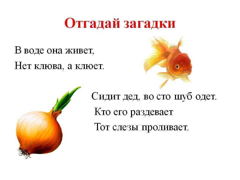 "загадки о музыкальных инструментах". загадки "музыкальные ударные инструменты"