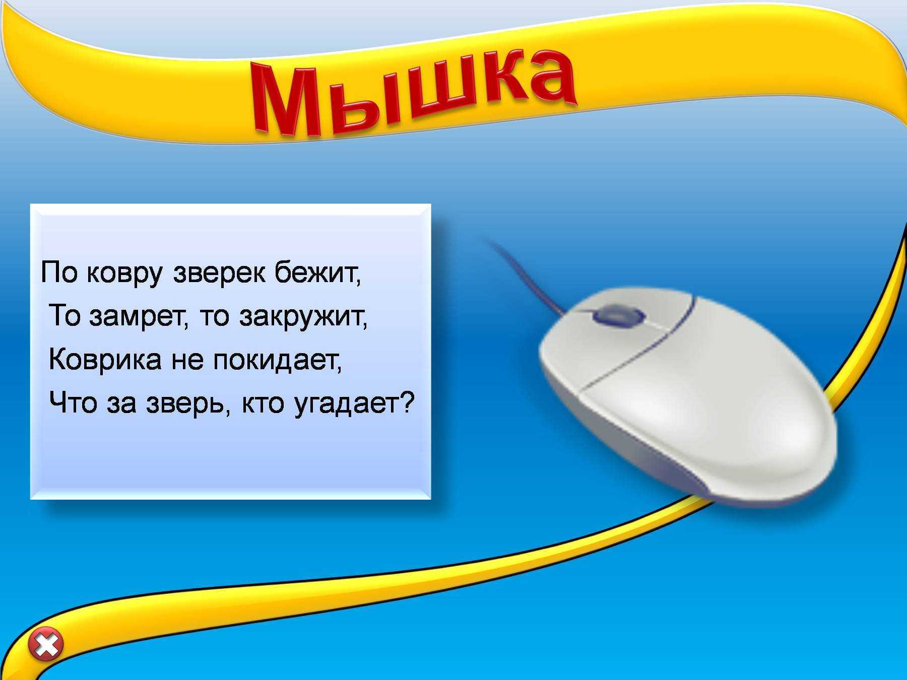 Загадки на логику — лучшая подборка для детей и взрослых