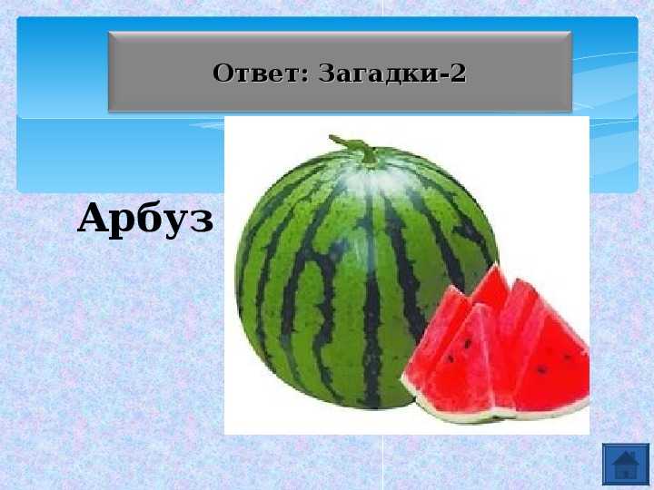 Загадки для детей