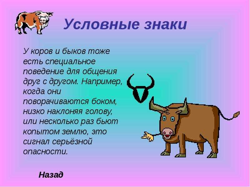 Конкурс карнавальных костюмов | красиво шить не запретишь!