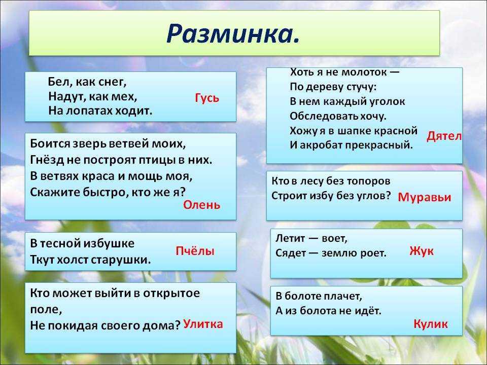 Лучшие загадки для детей 7-8 лет с ответами