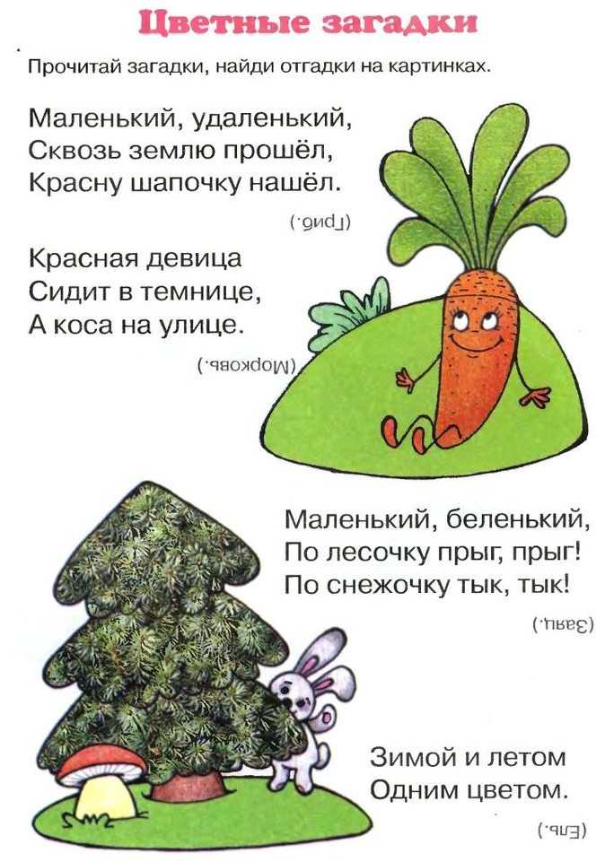 Загадки о компьютере и компьютерных устройствах для детей