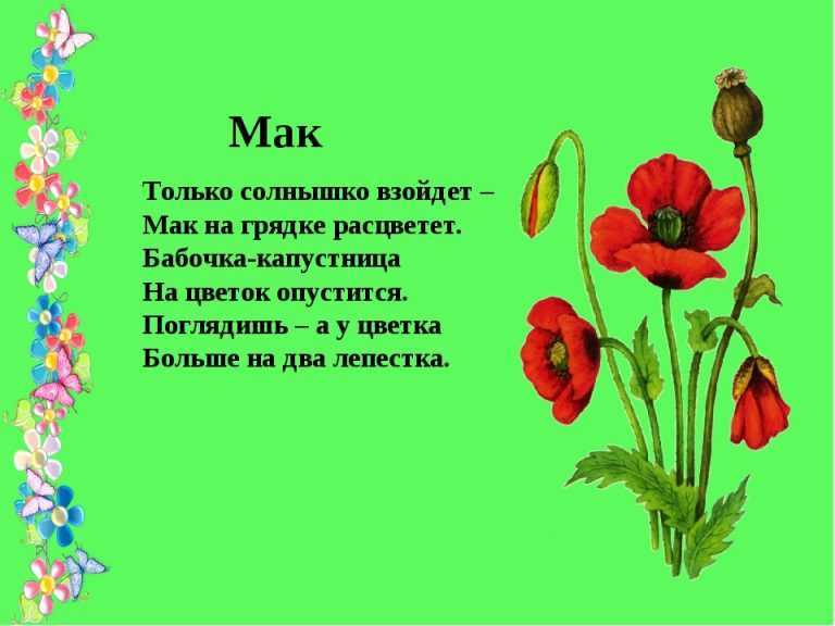 Стихи о растениях для дошкольников 5-6-7 лет