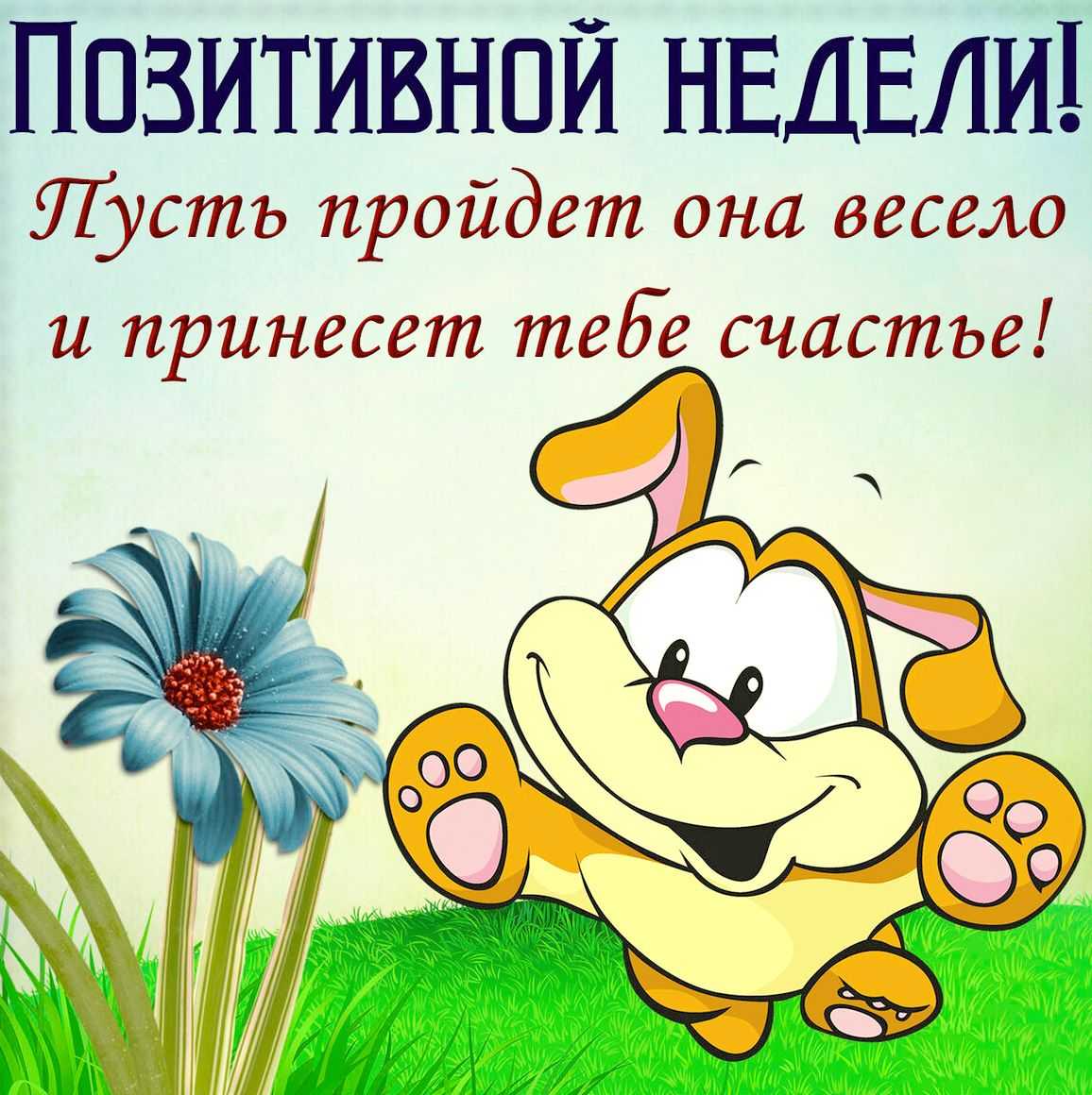 Смешные стихи про новый год для детей: 85+ современных и классических