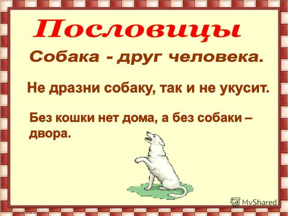 Пословицы и поговорки про собак в русской культуре