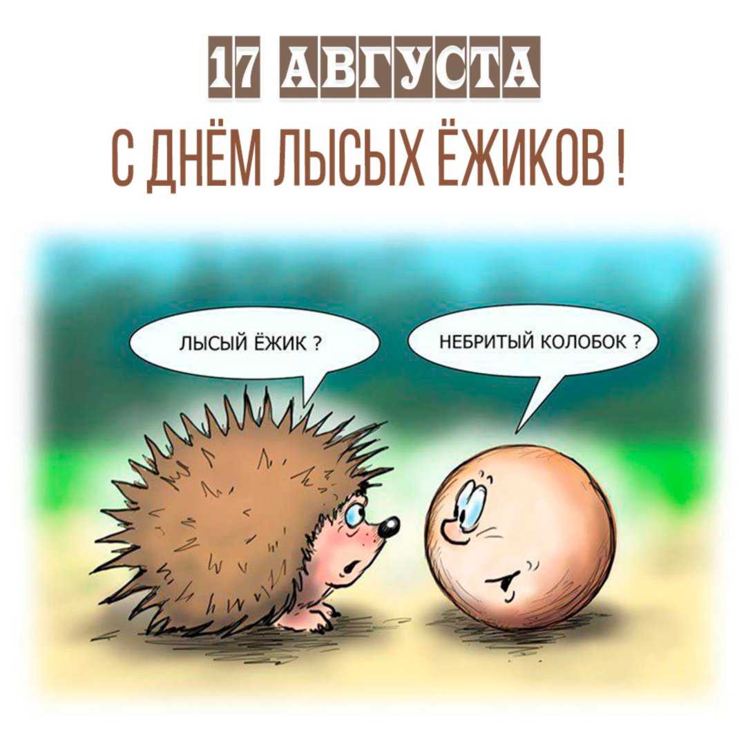 Прикольные стихи про ежика ~ поздравинский - агрегатор поздравлений для всех праздников
