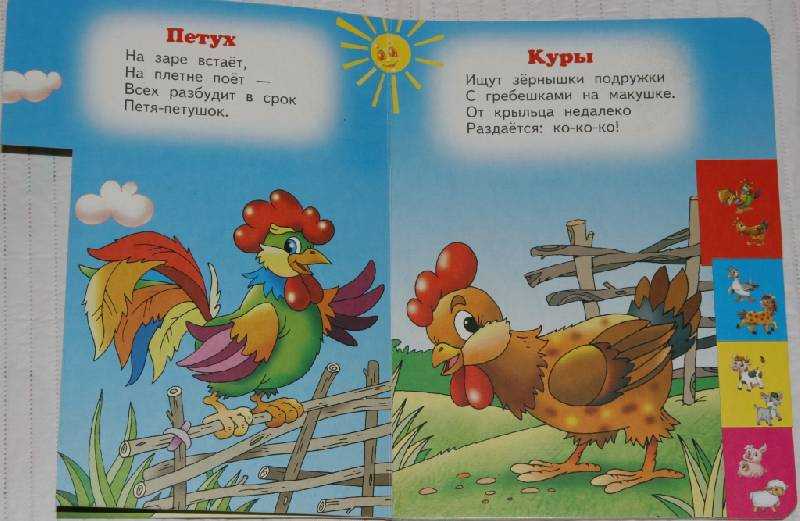 Загадки про домашних птиц для детей