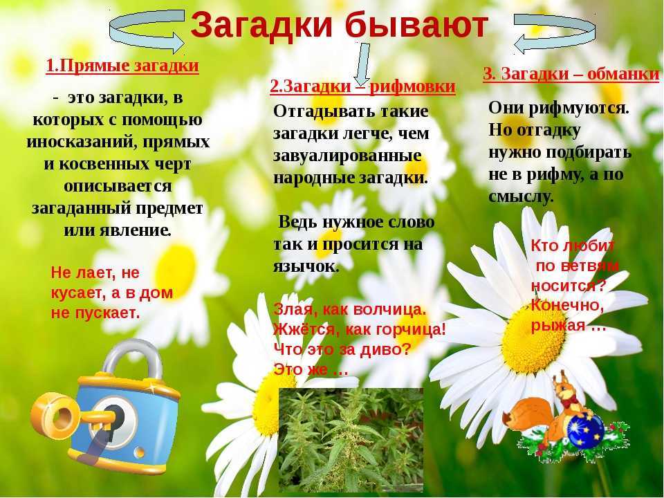 Загадки про школу: интересные, с ответами, смешные и веселые